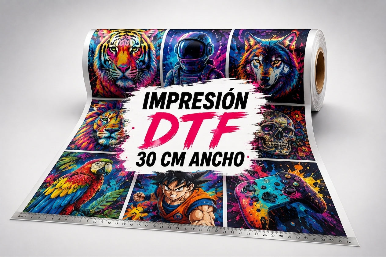DTF Metro individual