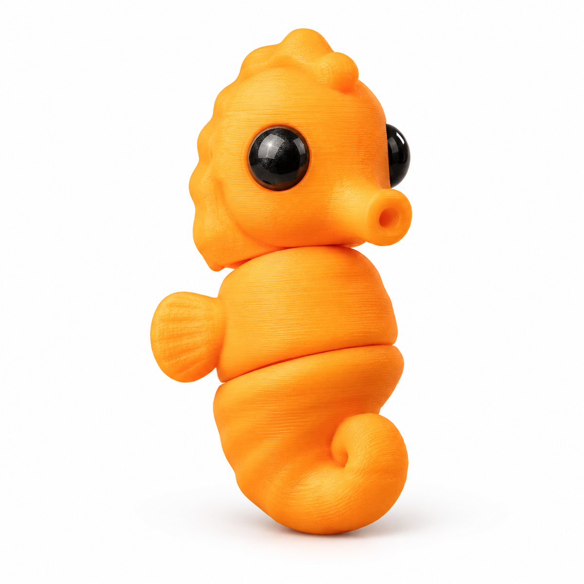 Caballito de mar