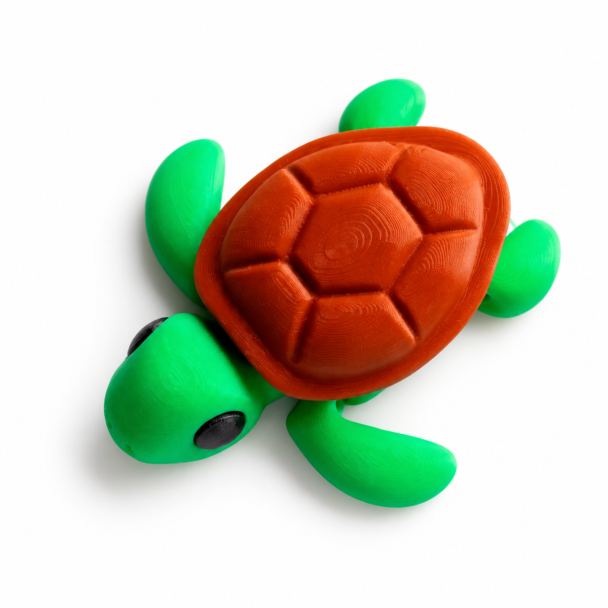 Tortuga